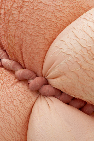 Exudate #73 - © Paris Internationale