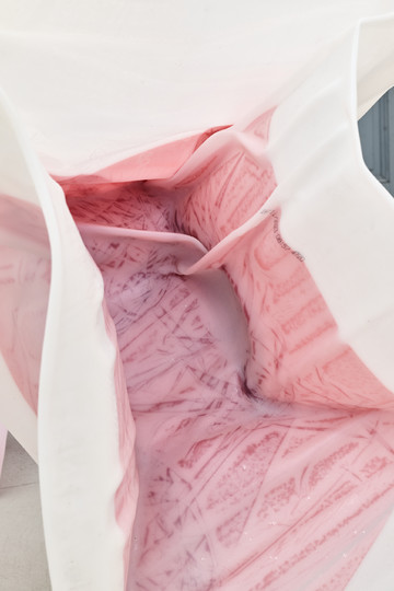 A Little Green Rosetta - © Paris Internationale