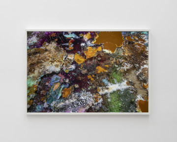 Untitled - © Paris Internationale