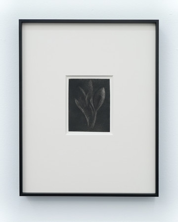 Spiritual inflammation #2 - © Paris Internationale