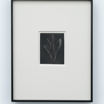 Spiritual inflammation #2 - © Paris Internationale