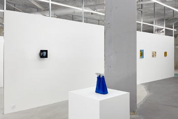 Derosia - © Paris Internationale