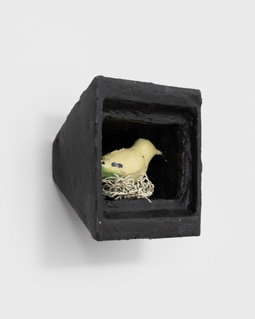 TV (bird show) - © Paris Internationale