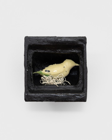 TV (bird show) - © Paris Internationale