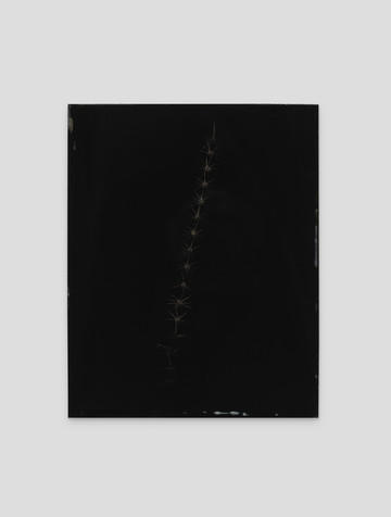 Don Gallery - © Paris Internationale