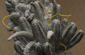 Don Gallery - © Paris Internationale