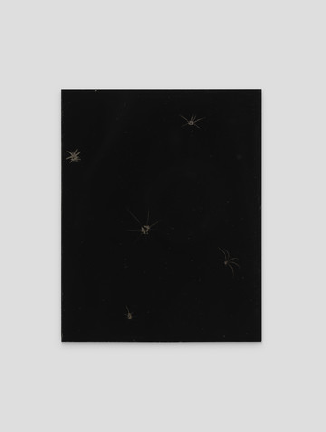 Don Gallery - © Paris Internationale