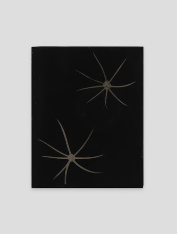 Don Gallery - © Paris Internationale