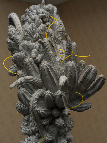 Don Gallery - © Paris Internationale