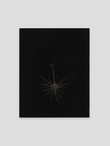 Don Gallery - © Paris Internationale