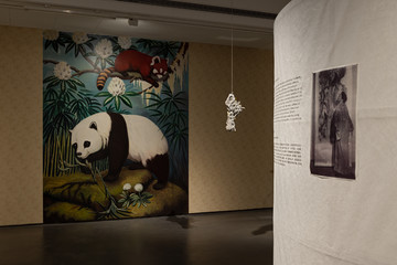 Installation view of “Shanghai Palimpsest: Restaging the R.A.S Library” at Rockbund Art Museum, Shanghai, China, 2024 - © Photo by LING Weizheng
Courtesy Rockbund Art Museum, Shanghai, China, Paris Internationale