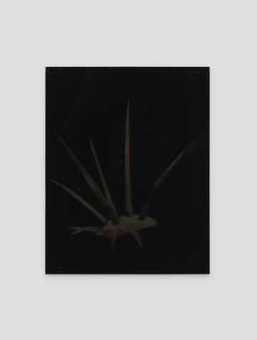 Don Gallery - © Paris Internationale