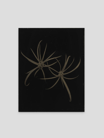 Weaving Shadow - © Paris Internationale