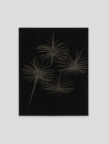 Weaving Shadow - © Paris Internationale