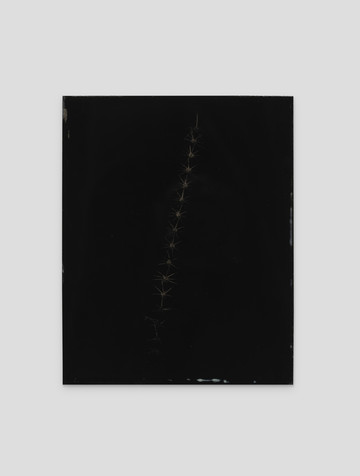 Weaving Shadow - © Paris Internationale