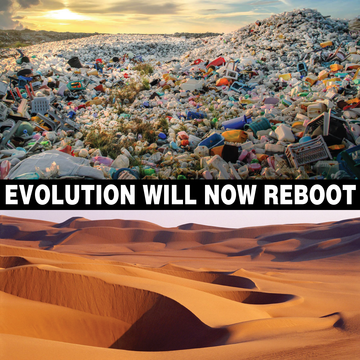 Overshoot #26 Evolution Will Now Reboot - © Paris Internationale