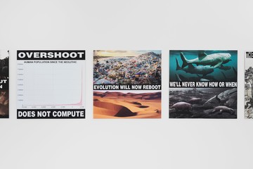 Overshoot #26 Evolution Will Now Reboot - © Paris Internationale