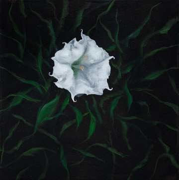 Margherita Manzelli
*Stramonio*, 2023
oil on linen
40 × 40 cm - © Courtesy of the Artist &amp; greengrassi, London, Paris Internationale