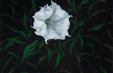 Margherita Manzelli
*Stramonio*, 2023
oil on linen
40 × 40 cm - © Courtesy of the Artist &amp; greengrassi, London, Paris Internationale