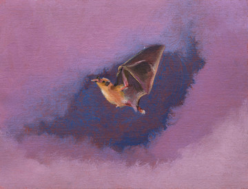 Bat Opera - © Paris Internationale