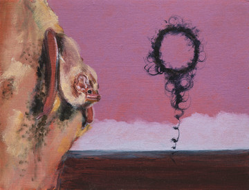 Bat Opera - © Paris Internationale