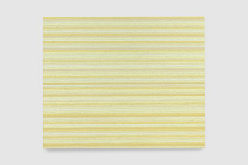 Fleur Dempsey
Beams, 2025
oil and graphite on canvas
92 x 112 x 1.8 cm
36 1/4 x 44 1/8 x 3/4 in
FD009 - © Paris Internationale