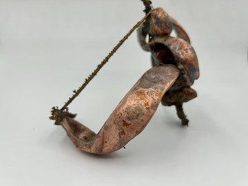 Umico Niwa - © Paris Internationale