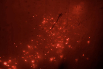 Overshoot, 2024 - © Paris Internationale