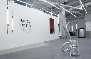 Krinzinger - © Paris Internationale