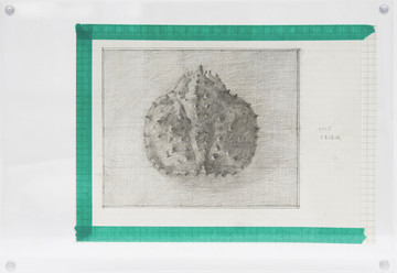 Magician Space - © Paris Internationale