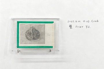 Yu Feier - © Paris Internationale