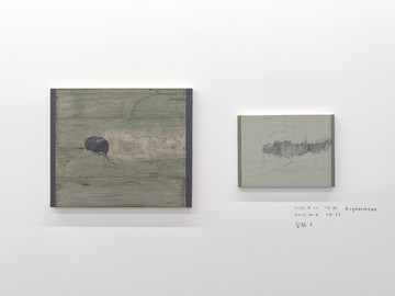 Yu Feier - © Paris Internationale