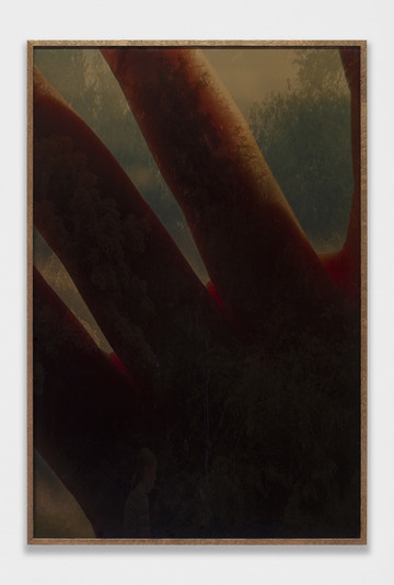 Chloé Quenum, Rain, 2024, digital collage, inkjet print on matte paper, glossy film, 120 × 80 cm - © ph. Andrea Rossetti
courtesy of the artist and Martina Simeti, Milan, Paris Internationale