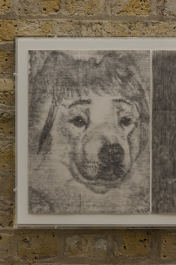 Contact (Blessed) - © Paris Internationale