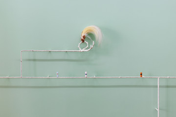 sissi club - © Paris Internationale