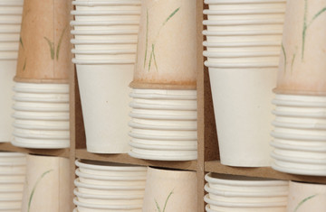 Tabula Rasa Gallery - © Paris Internationale