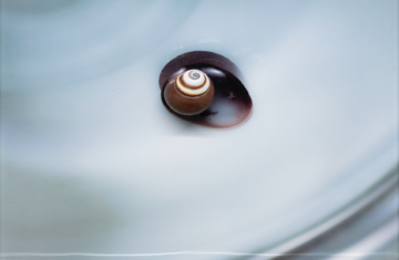 Ulrik - © Paris Internationale