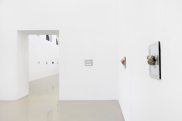 Hélène Fauquet, Species of the Pod, installation view, Galerie Meyer Kainer, Vienna, 2025.
Courtesy of the artist and Galerie Meyer Kainer - © Paris Internationale