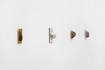 Hélène Fauquet, Species of the Pod, installation view, Galerie Meyer Kainer, Vienna, 2025.
Courtesy of the artist and Galerie Meyer Kainer - © Paris Internationale