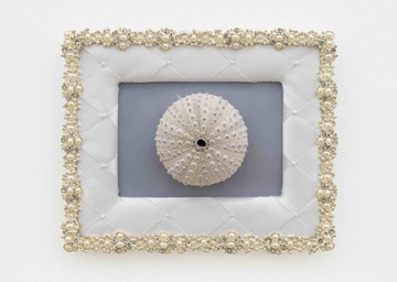 Hélène Fauquet, Lividus cushioned, 2025
Inkjet print, sea urchin, cushioned frame, metal frame
22 × 27.5 × 6 cm
Courtesy the artist and MEYER*KAINER, Vienna. - © Photo &copy; Simon Veres, Paris Internationale