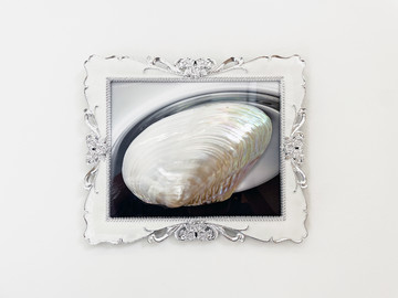 Clam - © Paris Internationale