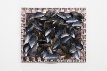 Moules - © Paris Internationale