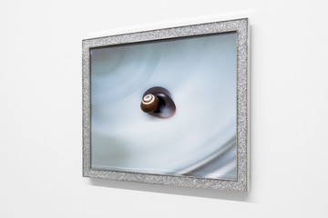 Shark Eye - © Paris Internationale