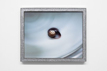 Shark Eye - © Paris Internationale