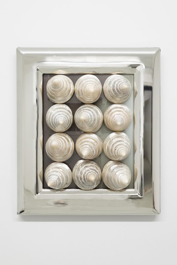 Trochus Niloticus - © Paris Internationale