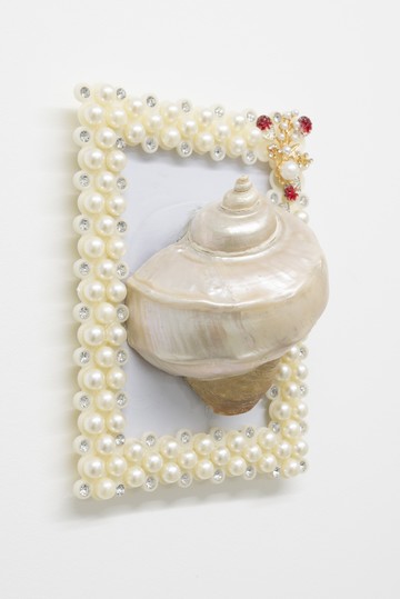 Turbinae - © Paris Internationale