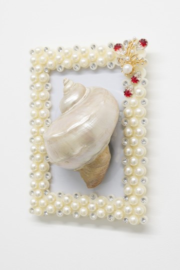 Turbinae - © Paris Internationale