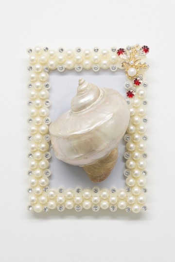 Turbinae - © Paris Internationale