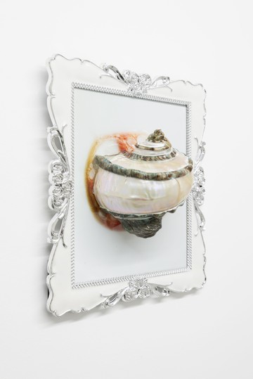 Turbo Marmoratus - © Paris Internationale