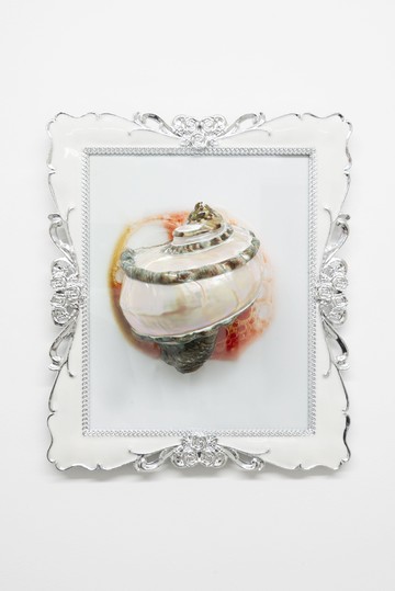 Turbo Marmoratus - © Paris Internationale